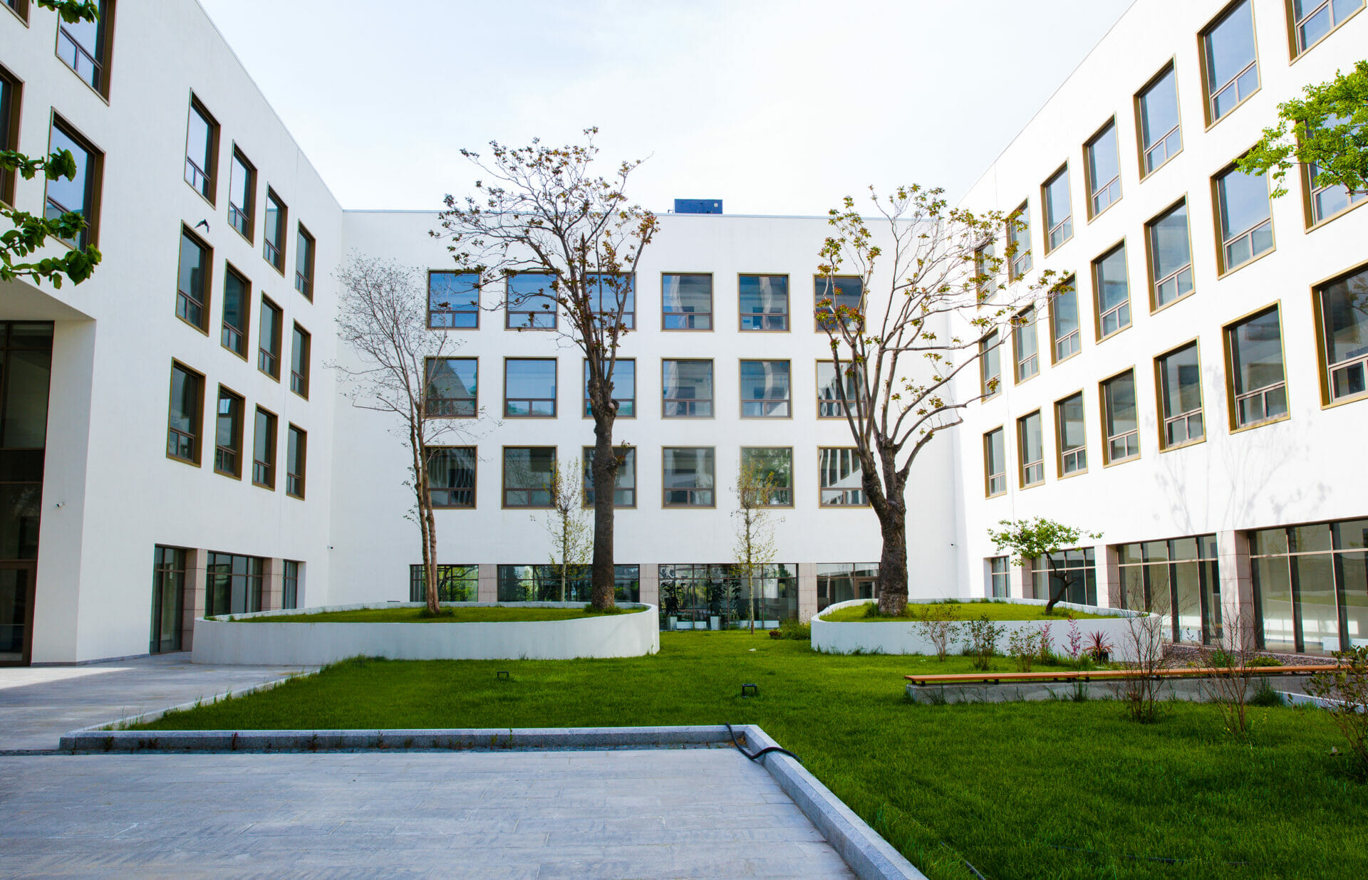 gallery-image